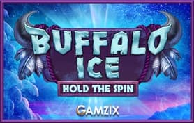 Buffalo Ice: Hold The Spin - Gamzix